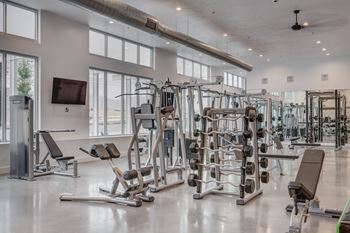 a gym with weights and cardio machines and a tv